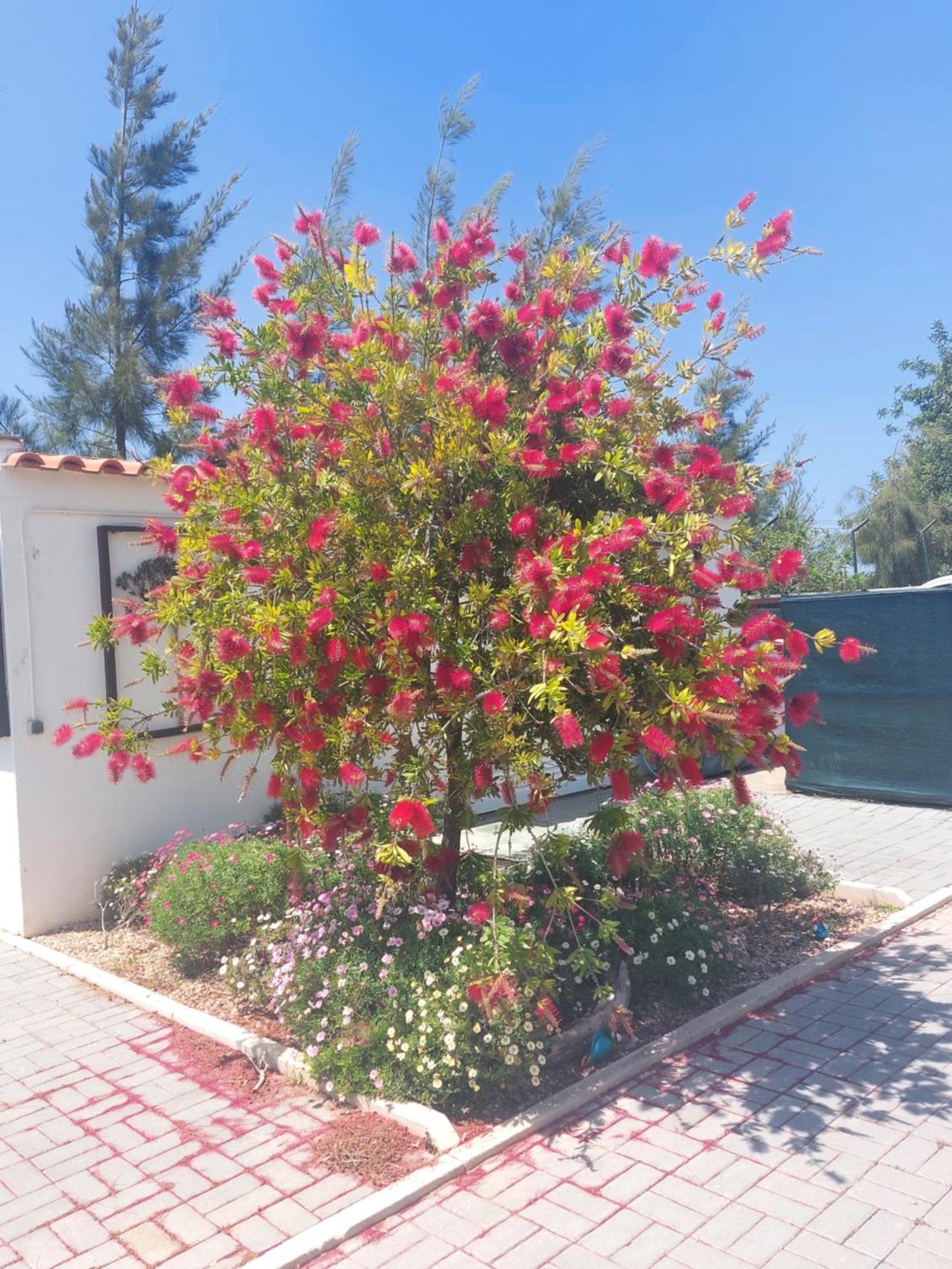 Tavira Vacations Apartments Luaran gambar